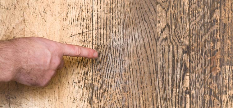 Wood Door Scratch Repair in Vincent